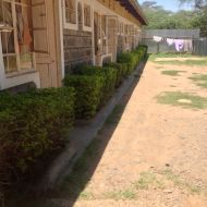 4 DSem Acacia Accommodation