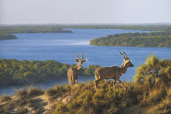 Dodori National Reserve