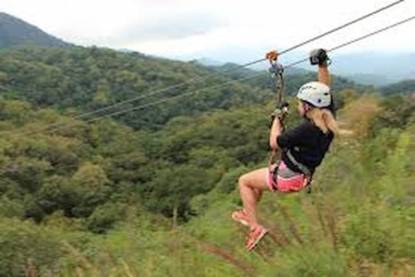 Kereita Forest Safari 