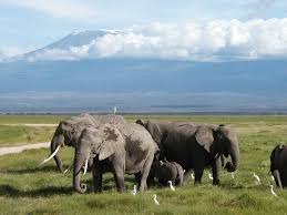 Kerio Valley National Reserve