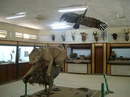 Kisumu Museum 