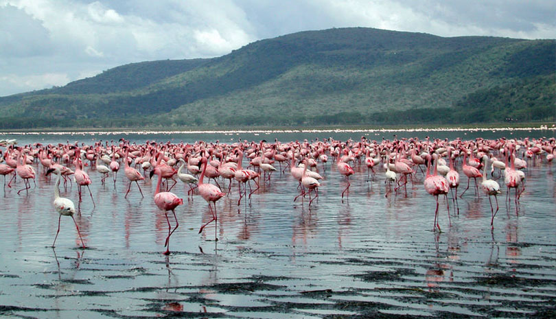 Lake Nakuru National Park