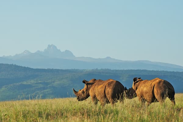 Mount Kenya National Park 