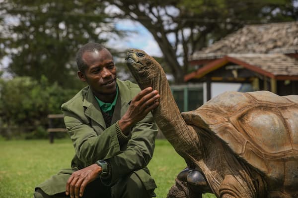 Mt Kenya Wildlife Conservancy Animal Orphanage image 