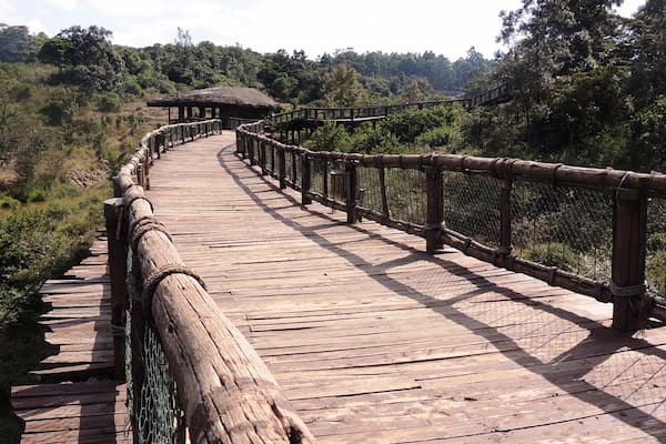 Nairobi Safari Walk 