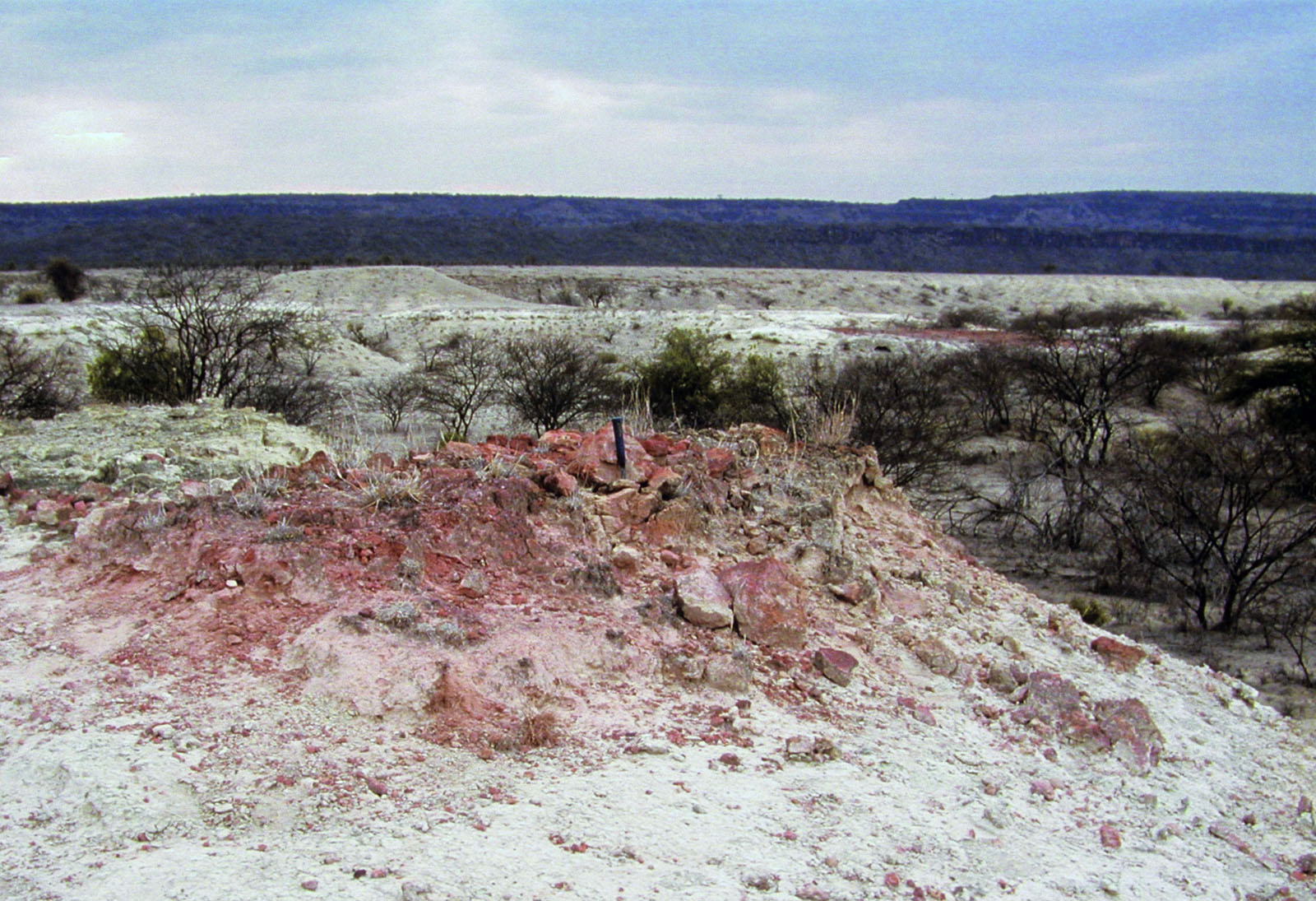 Reddened sediment reflects the burning of dessicated plant remains buried within diatomite sediment, indicating a severe climate shift between wet and very dry. Image courtesy of Richard Potts, Smithsonian Institution.