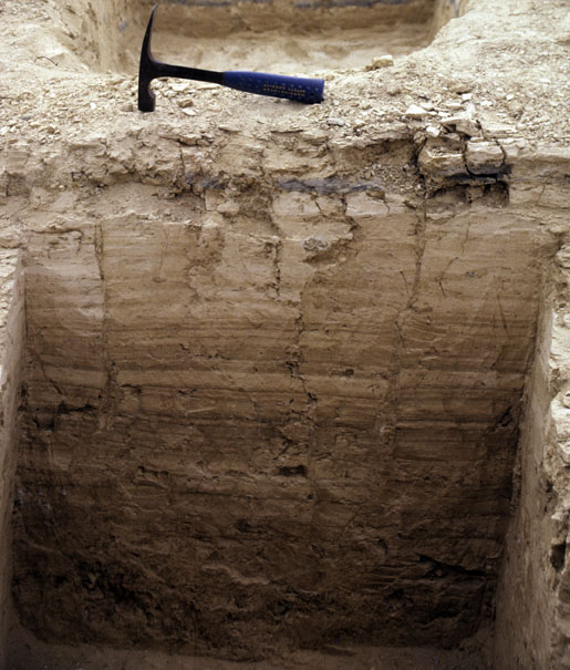 Diatoms were sampled from many different layers at Olorgesailie. Here we see finely laminated diatomite layers, along with a gray layer of volcanic ash (just below hammer) that settled into the lake nearly 1 million years ago. Image courtesy of Richard Potts, Smithsonian Institution.