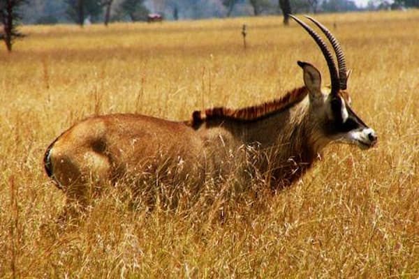 Ruma National Park Photo 