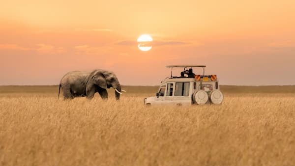 Things to do in Kenya