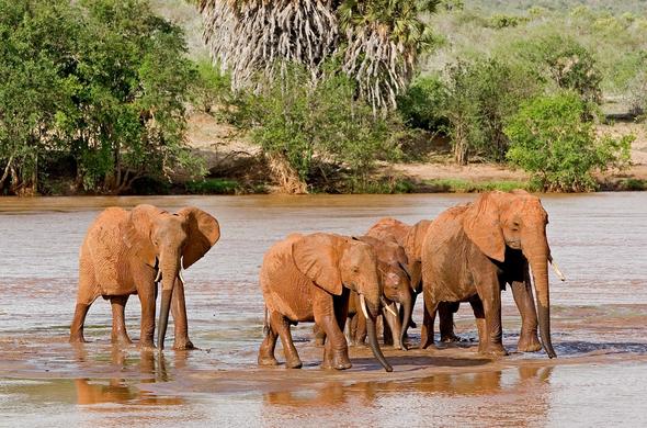 Tsavo East National Park