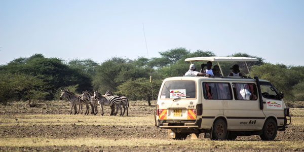 Wildlife